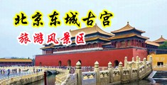 黄色视频无遮挡插逼中国北京-东城古宫旅游风景区